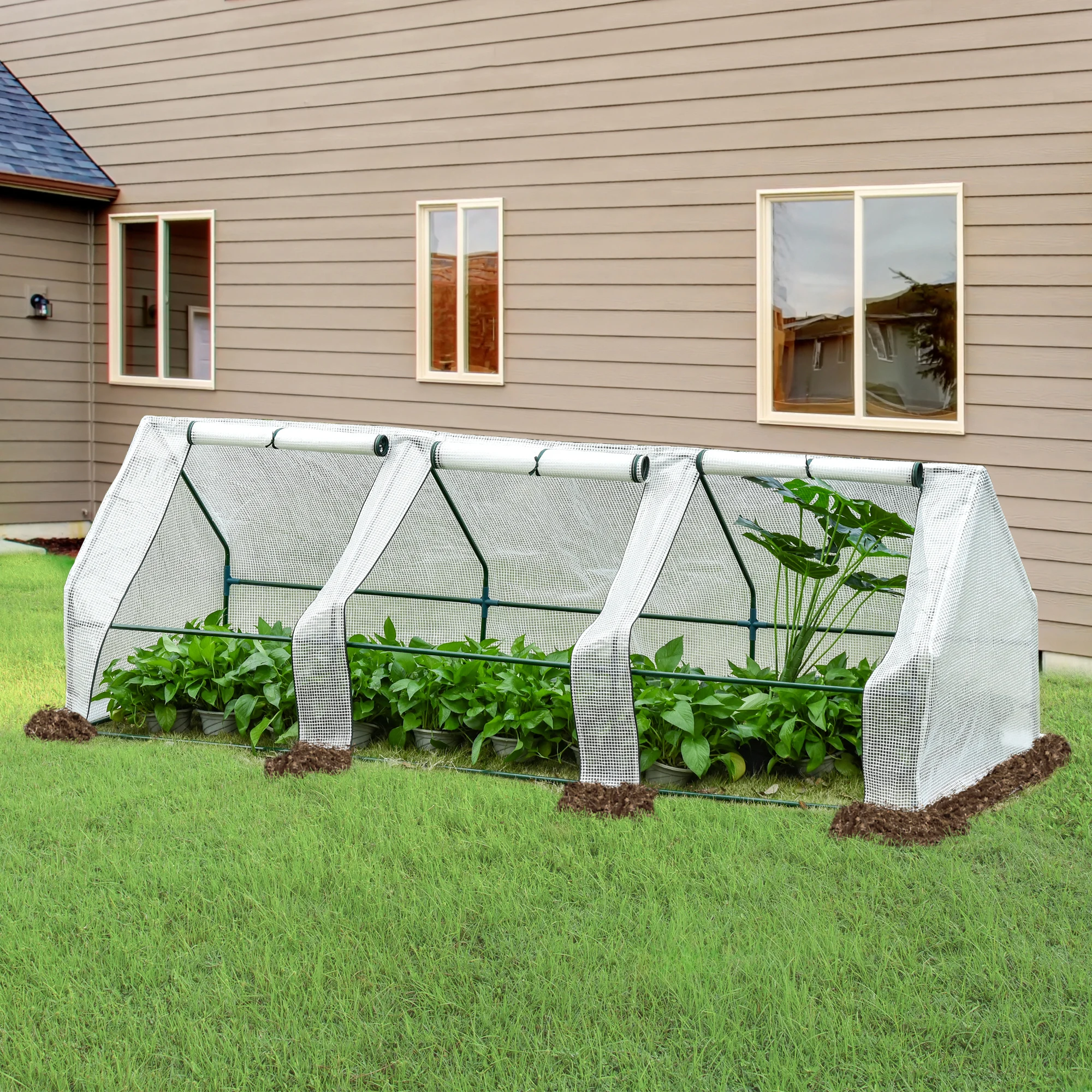 Out sunny Gewächshaus Terrasse 270x90x90 cm mit Fenstern wachsen weiße Pflanzen