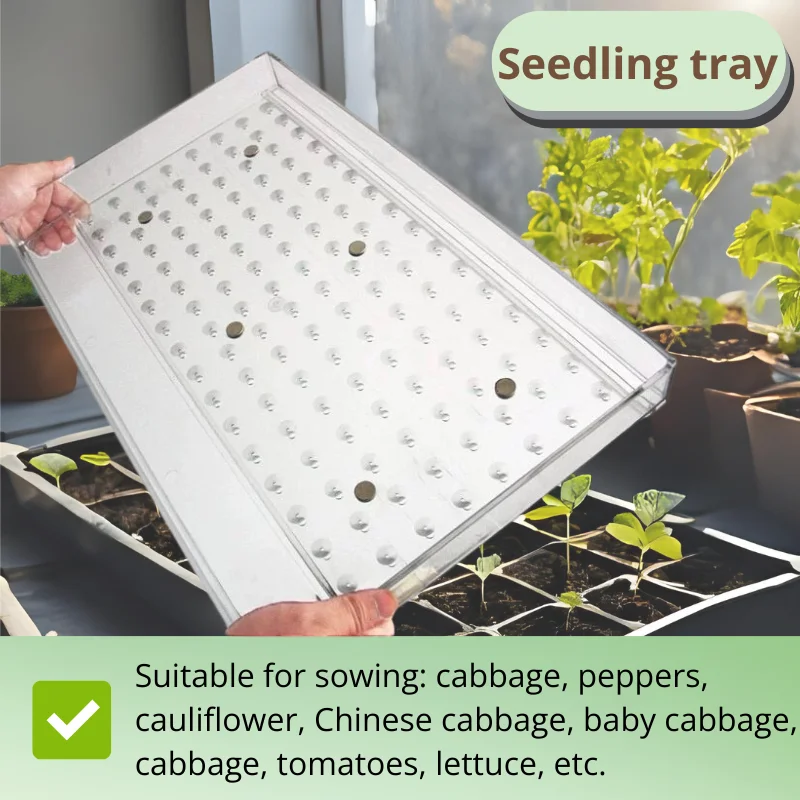 

Multi-Hole Transparent Seeder Tray Tool Ideal for Chili Tomato Lettuce Seed Sowing