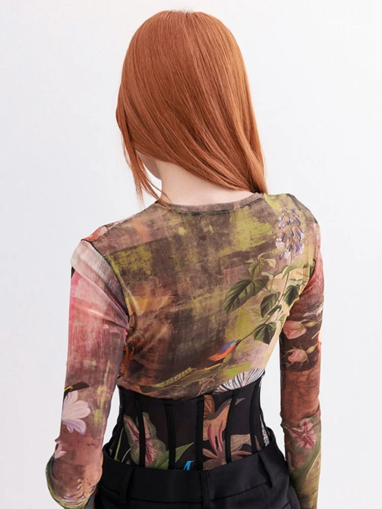 Painting Graphic T Shirts For Women Aesthetic Clothes Long Sleeve Crop Top Gauze Y2k Accessories Slim Ropa De Mujer See Through