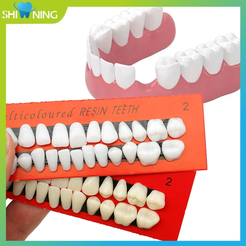 

Зубная пластина, образовательная модель, 28-зубная смола, протез, компаратор зубов, зеркало, стоматология, отбеливание