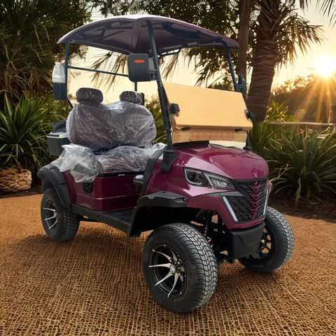 새로운 디자인 72V 리튬 배터리 2/4/6인승 오프로드 타이어 고하중 레저용 4륜 4X4 전기 골프 카트