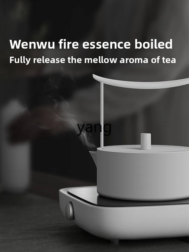 CX Household Electric Pottery Stove Tea Maker Office Silver Iron Pottery Pot