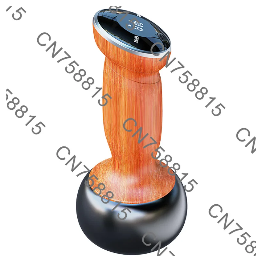 Relax Muscles Bian Stone Guasha Tool Physiotherapy，Electric Hot Stone GuaSha Massager Skin Scraping Back Neck Massage Shock