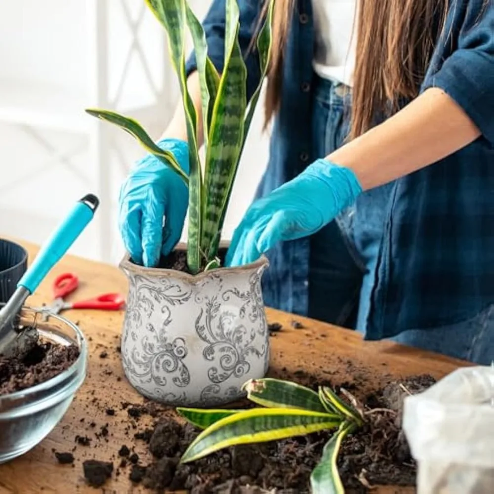 newtay 6 inch ceramic planter gray scroll planter decorative plant pots with crackle glaze for home kitchen