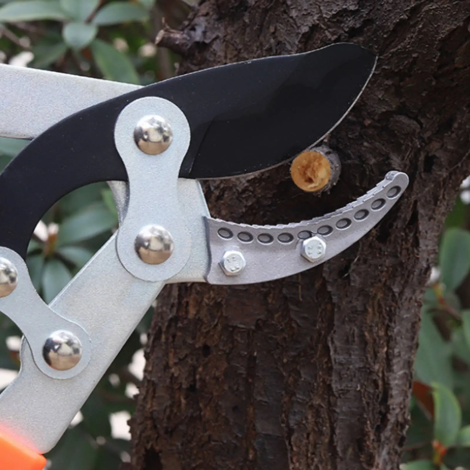 Telescopic Branch Pruners Sharp Blade Sturdy Duty Tree Pruners Pruning Shears Comfortable Grip Gardening Tool Non-Stick Coating