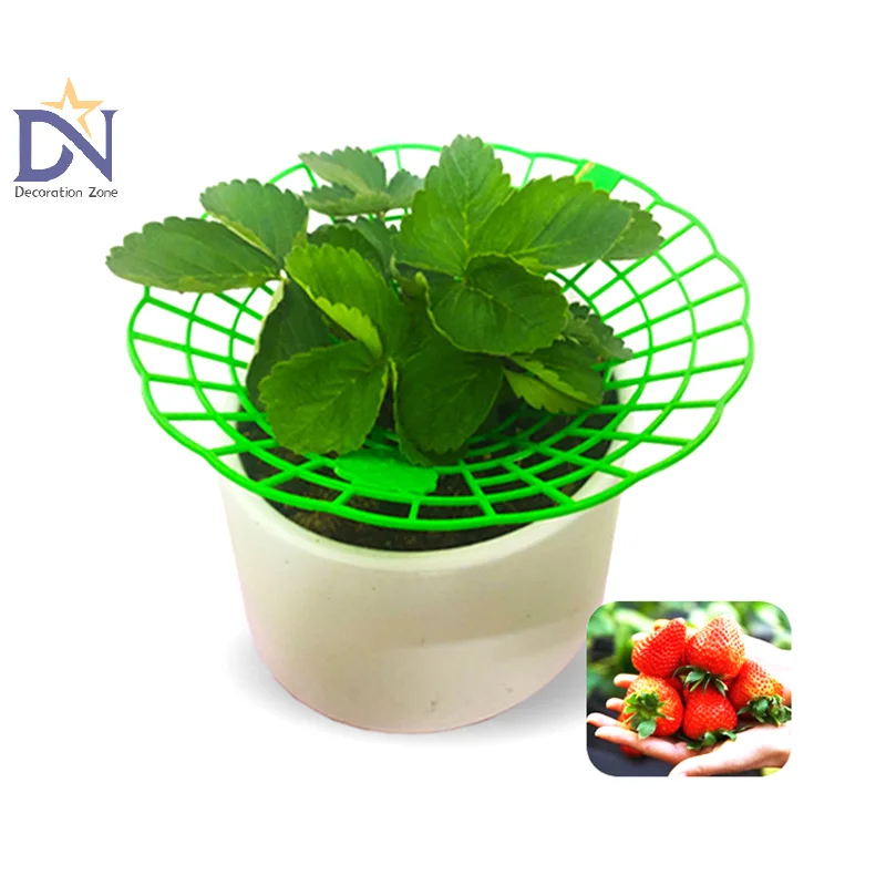 Strawberry Plant Cages Support Stand, Strawberry Frame, Escalada Trelli Support Tool