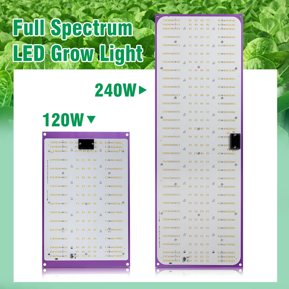 Full Spectrum LED Grow Light with EU Plug 120W 240W LM281B Quantum Board Plant Phytolamp for Hydroponic Seedling