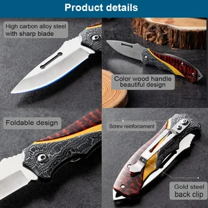 Multifunctional stainless steel fruits knife, folding knife, portable barbecue knives, kitchen cooking Meat Cleaver, cut 10 Main Sales Handmade Knives for Barbecue - №5
