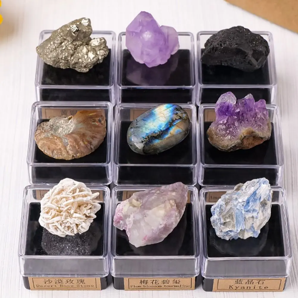 Multicolor Natural Mineral Specimen Geography Teaching Irregular Shape Raw Stones Specimen Boxes Jewelry Making Home Decoration