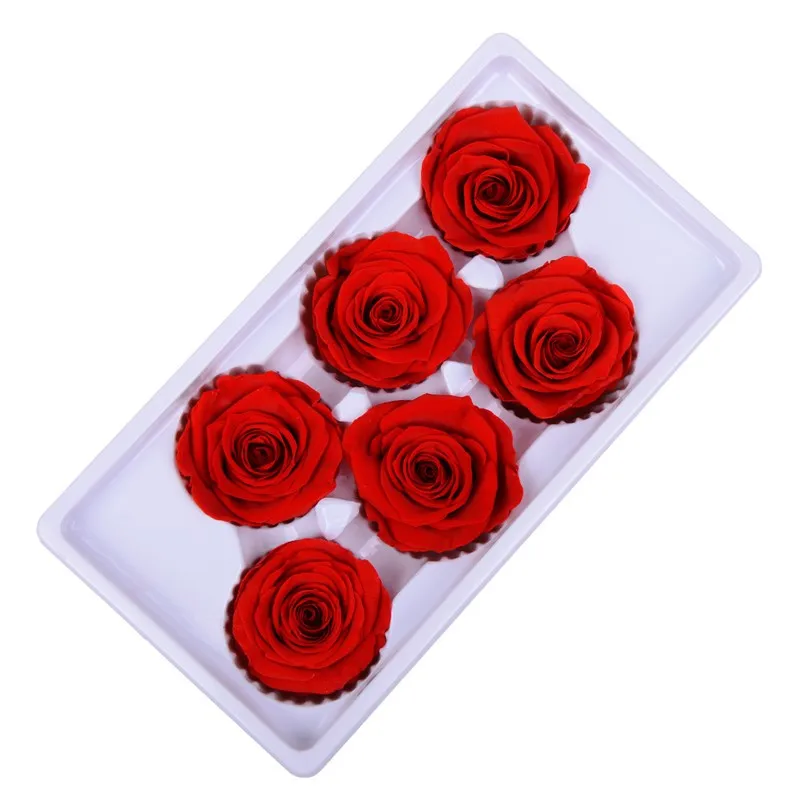 

Beauty and The Beast Fresh Red Eternal Roses DIY Material Valentine's Day Gifts Christmas Home Decor Chambre Wedding Decoration