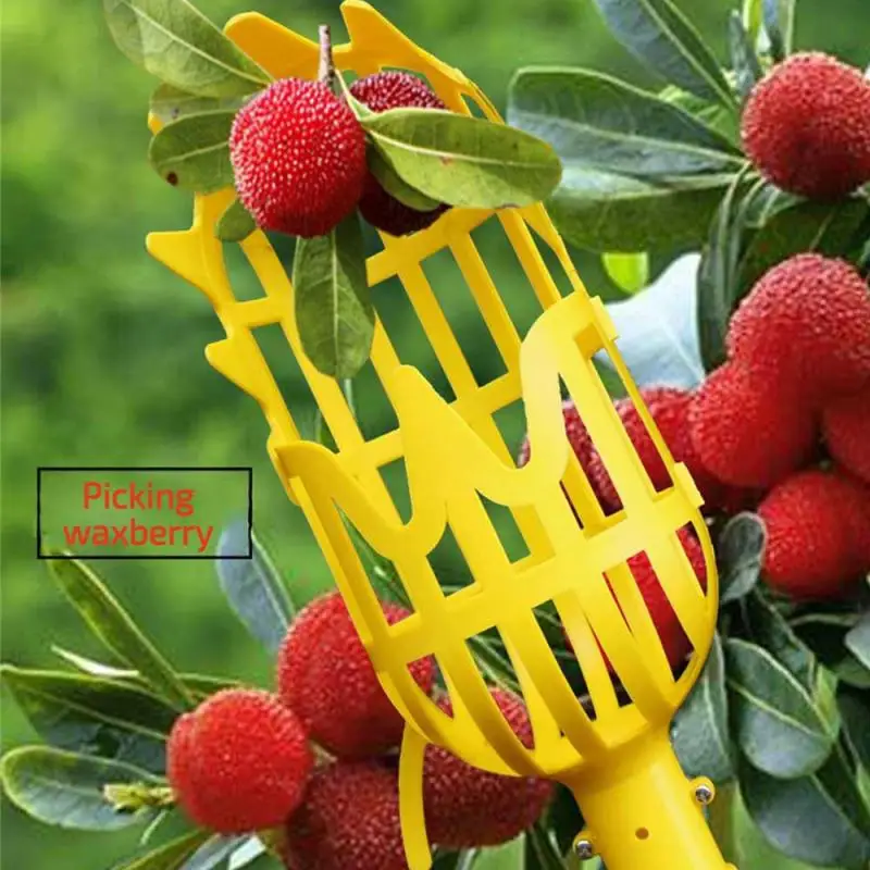 High-altitude Fruit Picker Head Picking Bayberry Loquat Tool Convenient Picker Catcher Garden Picking Supplies