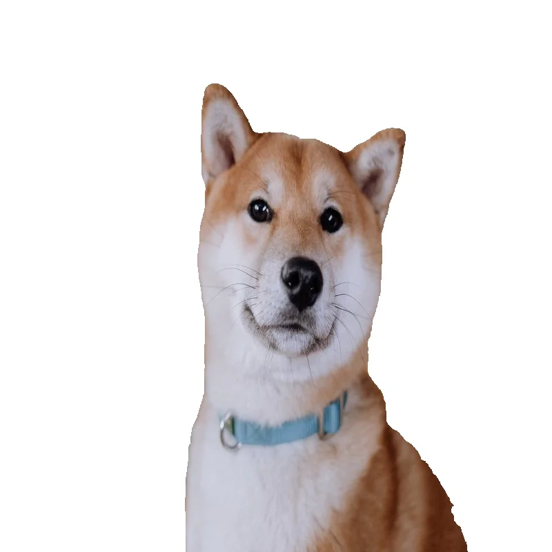 Domácí kutilství - Koupelnové doplňky - 