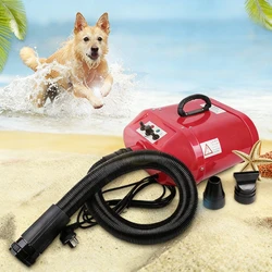 Double Motor Water Blower Pet Shop Dogs and Cats Large Dog Golden Retriever Variable Heating Hair Dryer Small Animals Supplies