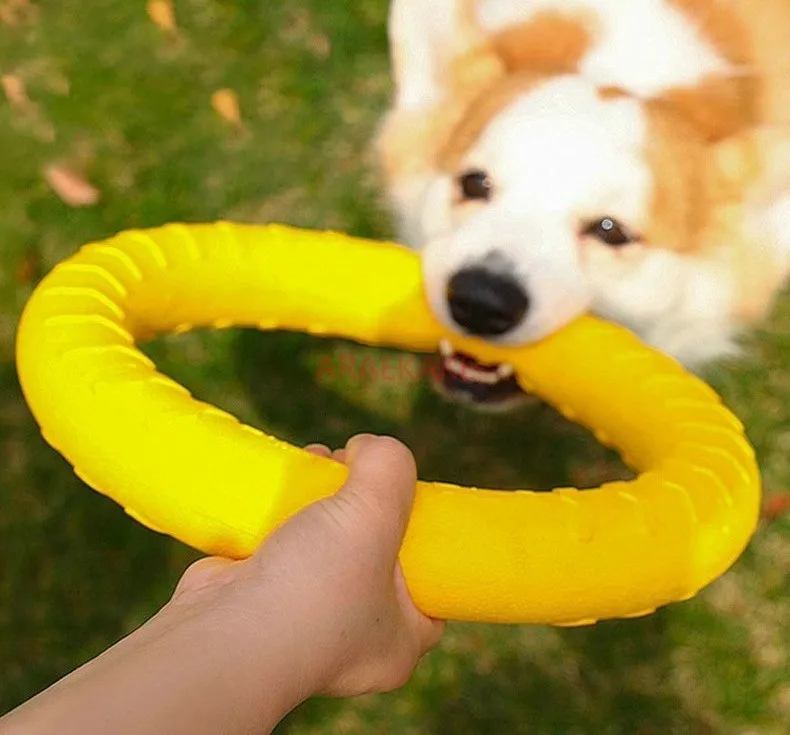 Dog outdoor training, human pet interaction, tension ring, energy consumption, safety, soft rubber, bite resistant pet toy