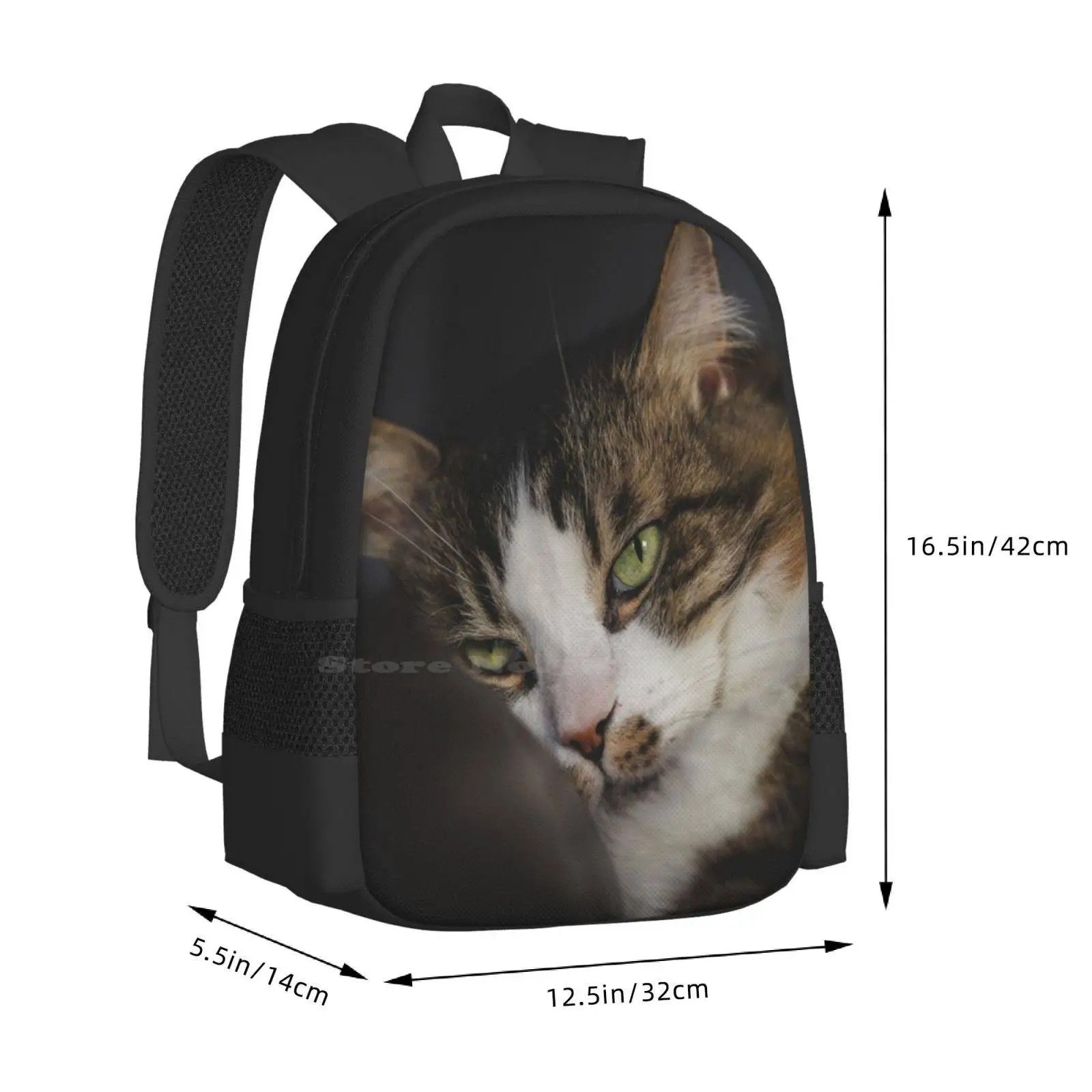 Kucing santai di bantal kucing lucu gambar pola Fashion desain Travel Laptop tas ransel sekolah tas kucing bersantai di gambar kucing lucu