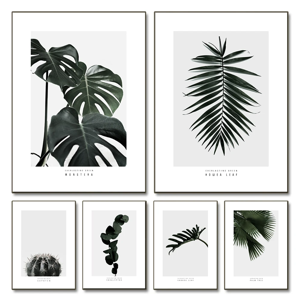 Nordic Monstera Palm Leaves Poster Decorative Paintings Canvas Wall Art Pictures Modern Living Room Home Decoration Minimalist