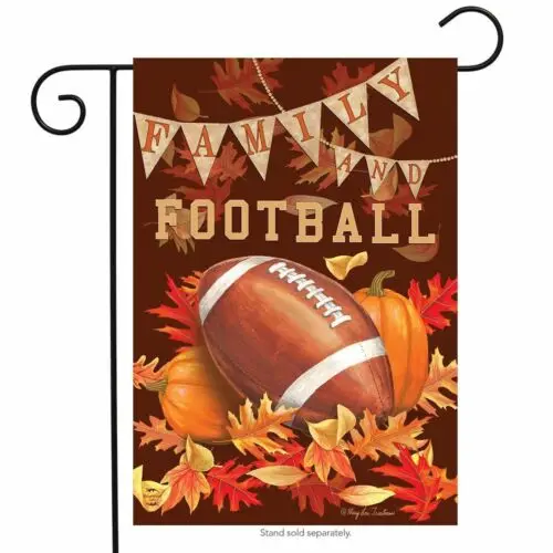 Family & Football Garden Flag Fall  12.5