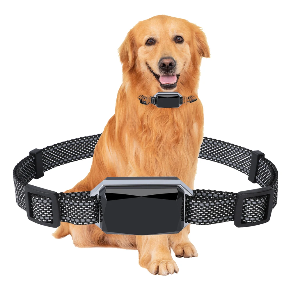 

Hot Selling 4G Pet GPS Tracker G58 Large Battery 2000MAh IPX67 Waterproof for Dog Real Time Tracking Vibration Training Collar