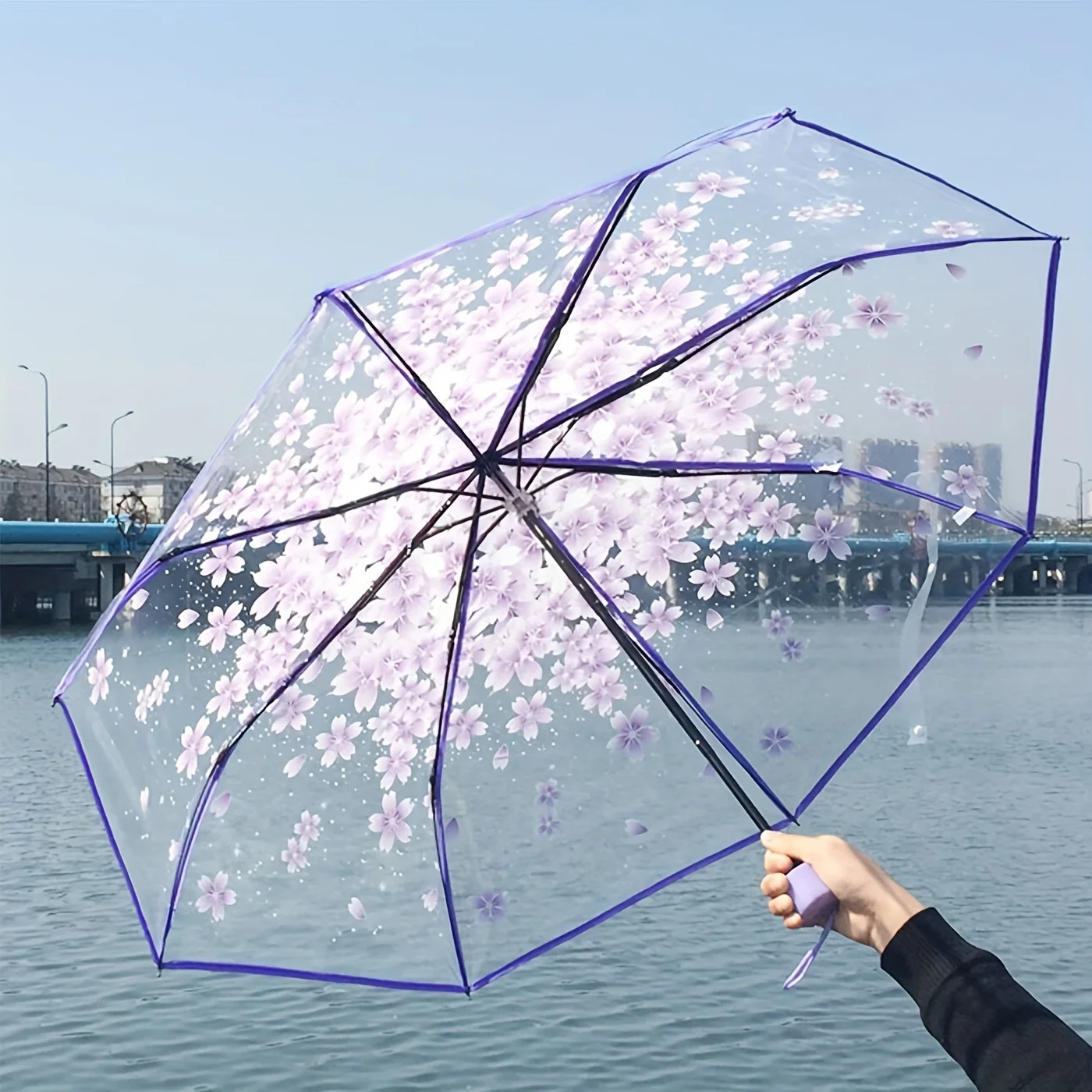 Transparent Umbrella Umbrella Folding Sun Art Fresh and Cute High Beauty Manual Umbrella Transparent Romantic Umbrella