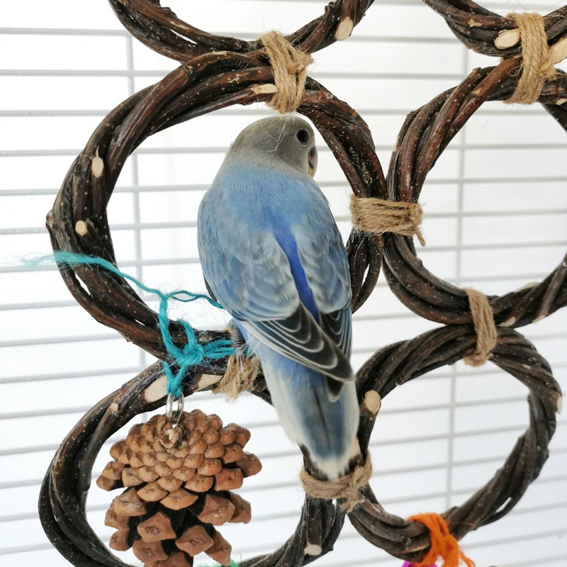 Handwoven Apple Branch Parrot Swing Ring - Chewable Bird Toys For Parrots, Perfect For Cage Play And Swinging Fun