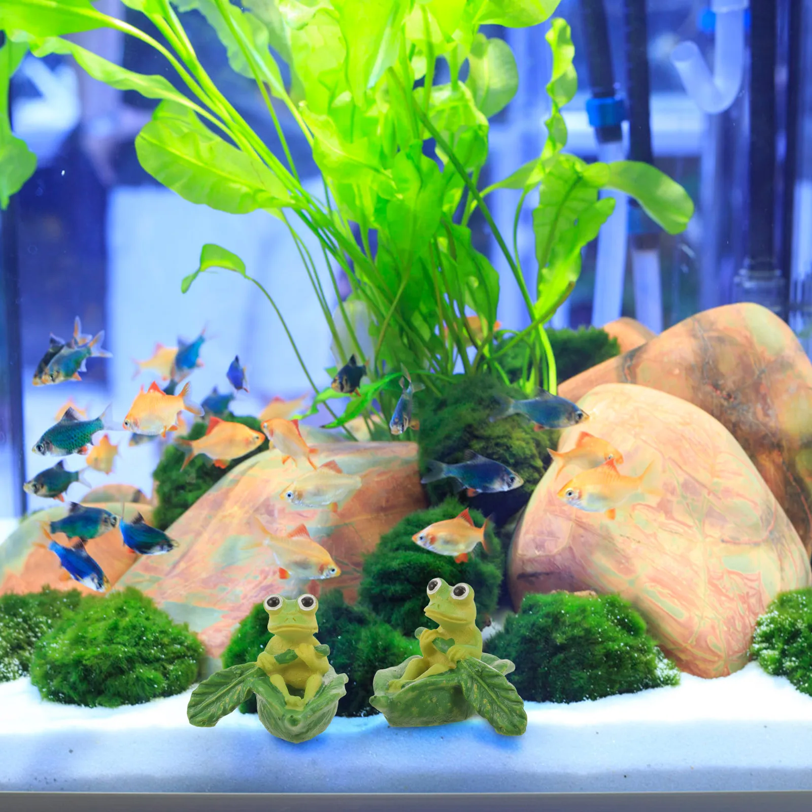 

2Pcs Lifelike Frog Figurine Aquarium Decor Boating Frog Sculpture Resin Craft