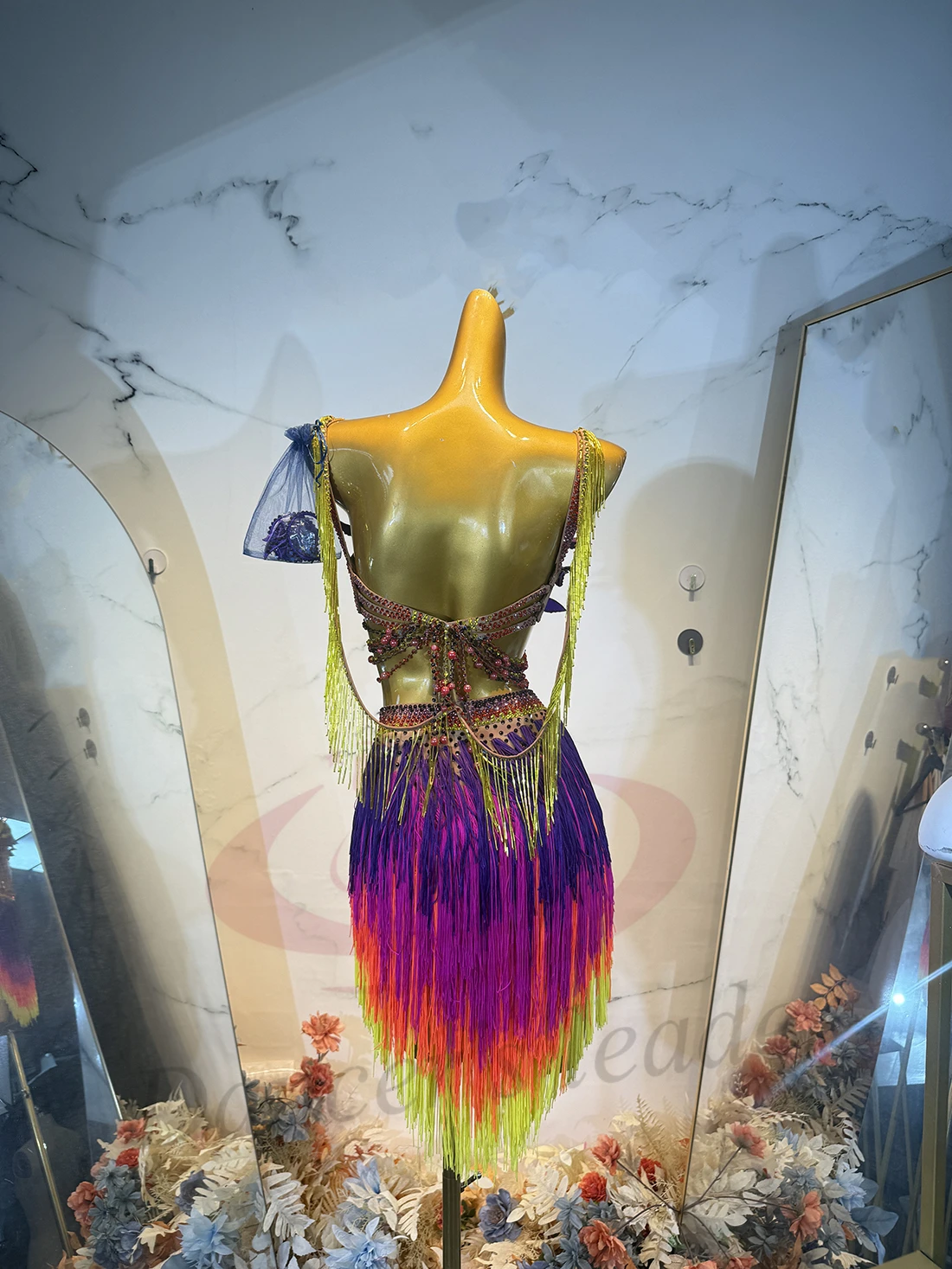 

Latin Dancer Adult Children High-End Customized Rainbow Tassel Splicing Tango Samba AB Stone Performance Dress