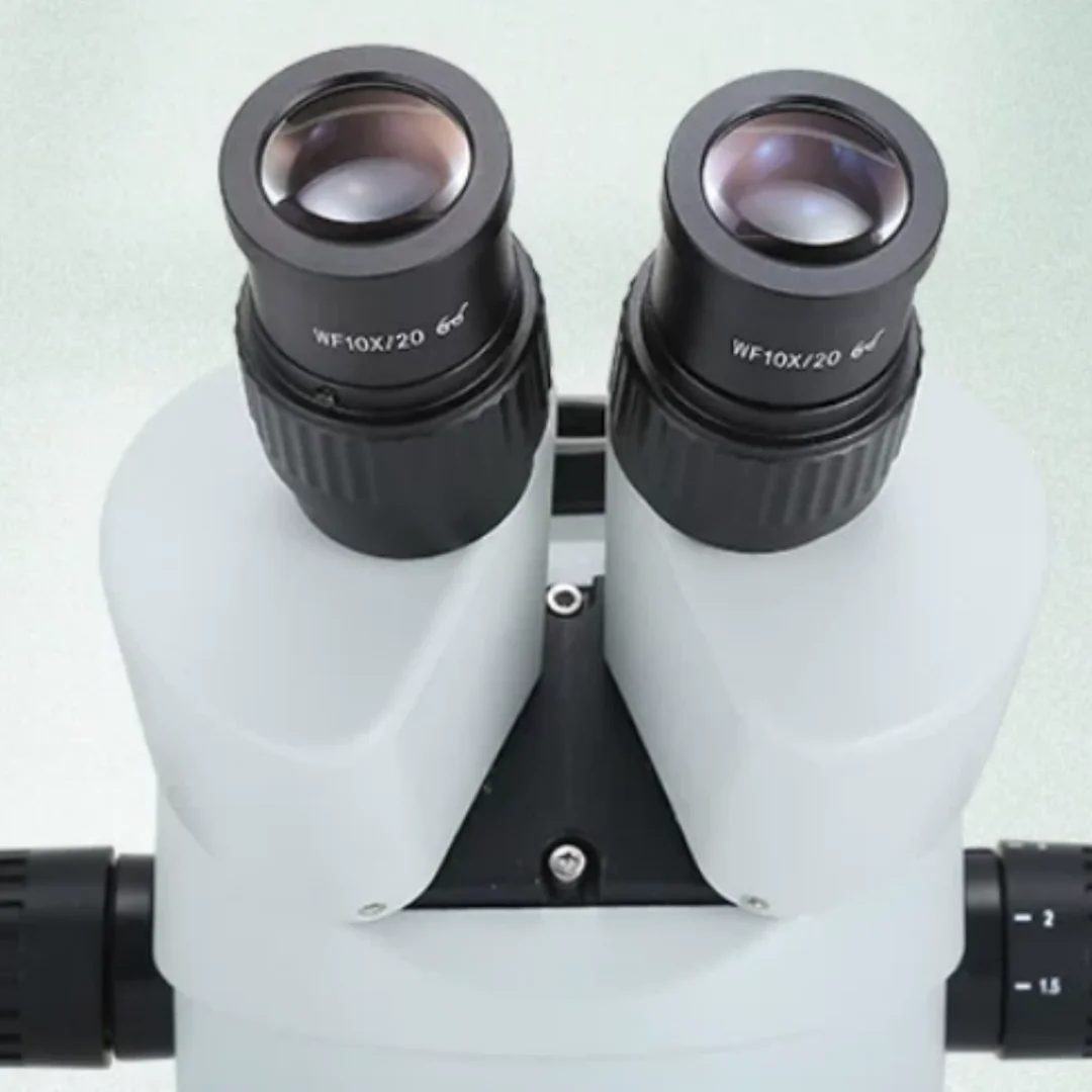W10X/15X/20X/25X/30X 30mm Stereoscopic Microscope WF10x22 Eyepiece Wide Angle Lens with Micrometer Reticle for Measurement