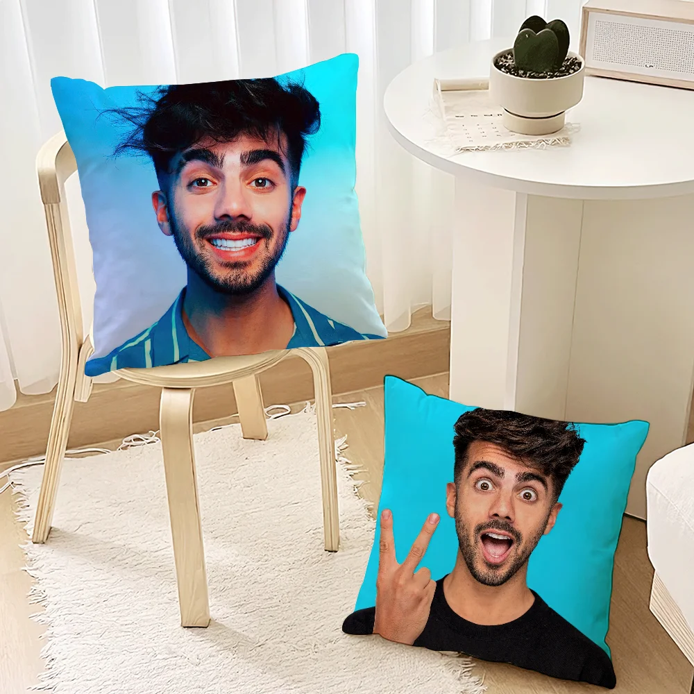 Internet Celebrity Fede V-Vigevani Pillow Case Living Room Accent Couch Back Support Square Lounge Restful Nap Companion ﻿