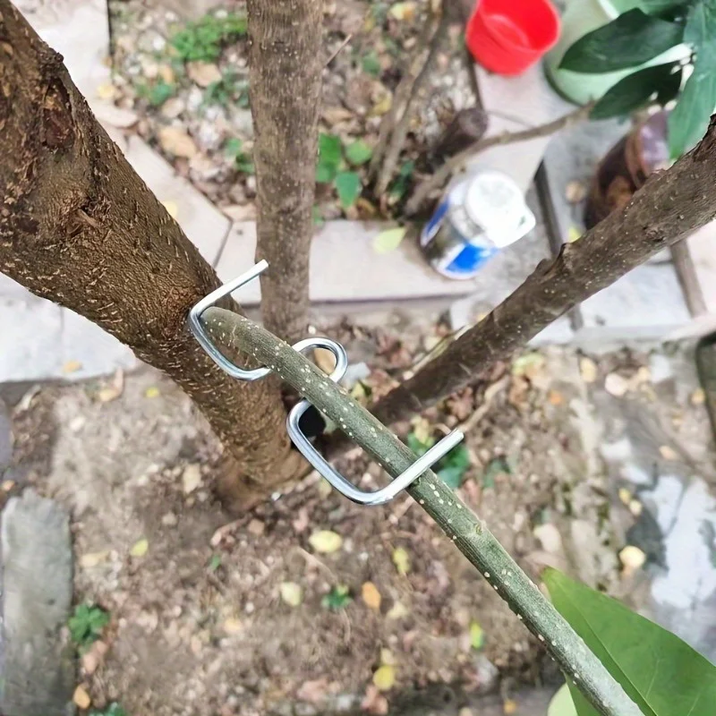 30pcs Fruit Tree Branch Bender Set, No Electricity Needed, Fruit Branch Puller Hanger Tool for Shaping and Bending