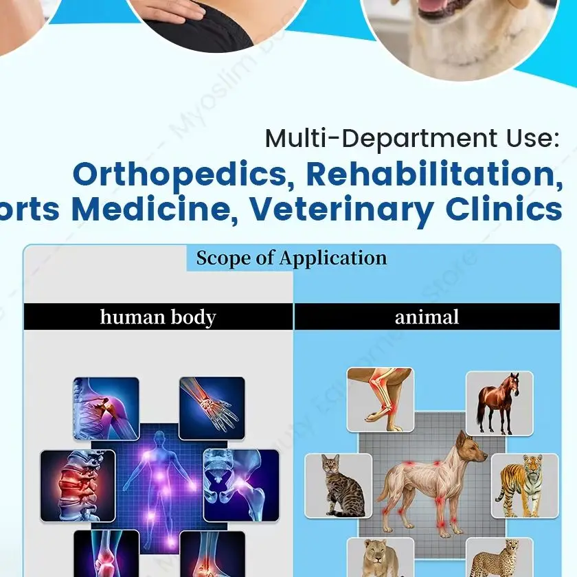 Electromagnetic Focused Shock Wave Therapy Machine Pain Relief Physical Rehabilitation Device For Human & Veterinary Use A69