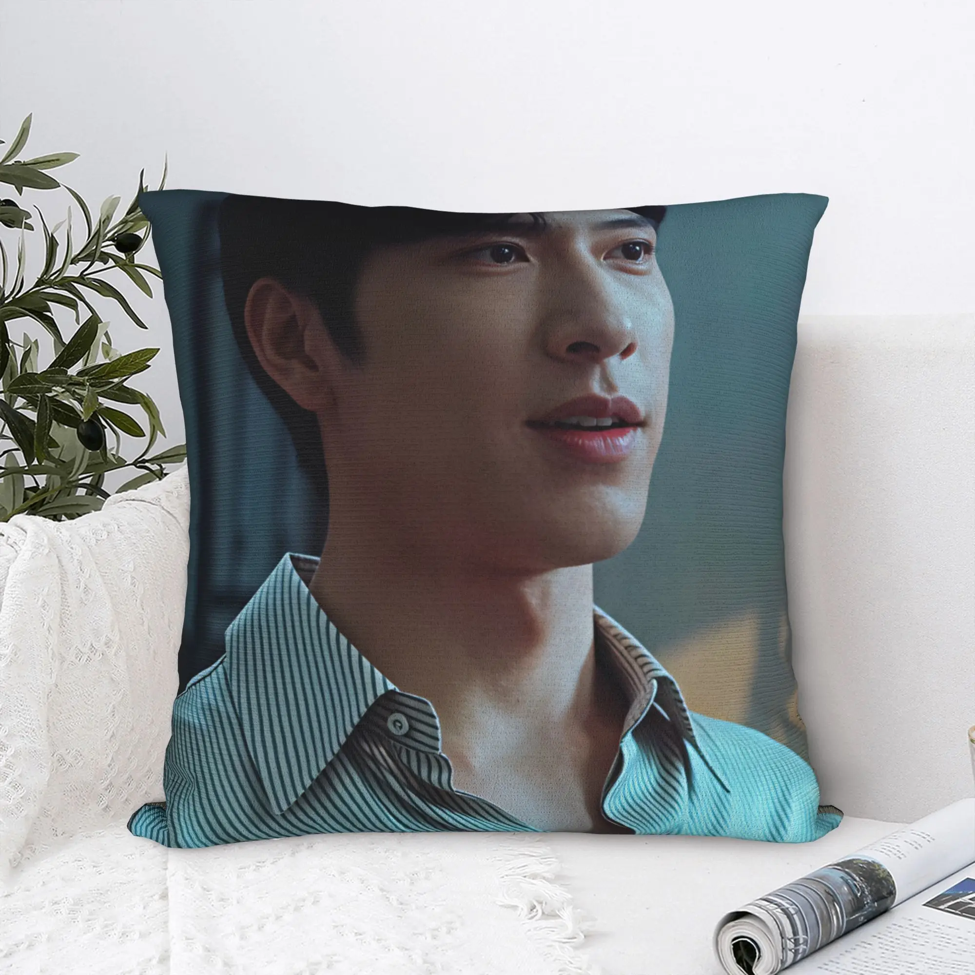 The Early Spring jing boran  Pillow Cover  Vintage Pillow Case For Sofa Home Decor Custom Pillowcases Gift