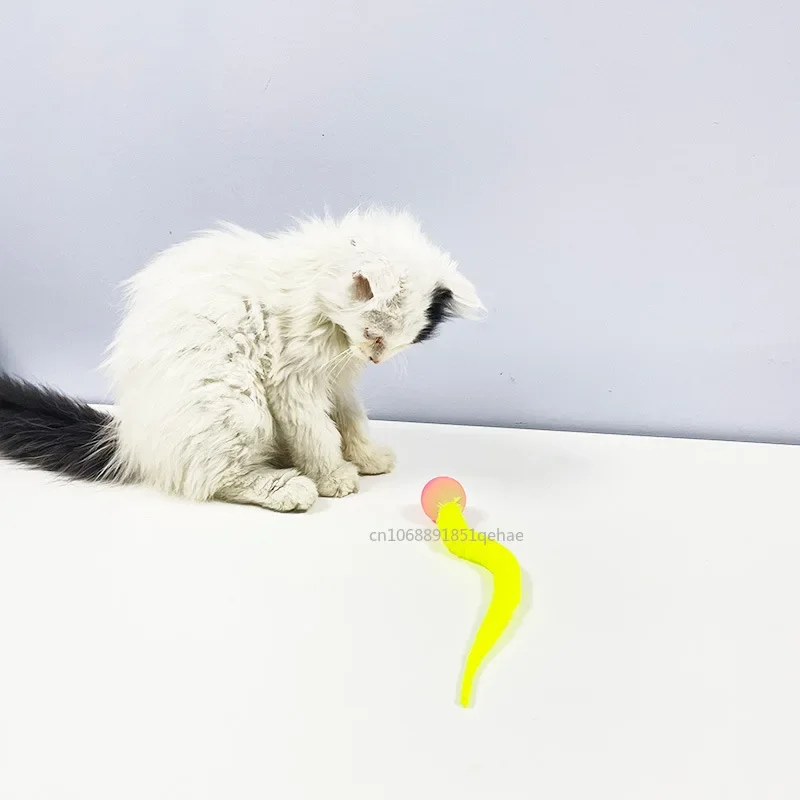 Cat Interactive Toys Tickle Cat Colorful Bouncing Ball Pet Supplies Puzzle Teasing Indoor Cat Worm Caterpillar Elastic Toy