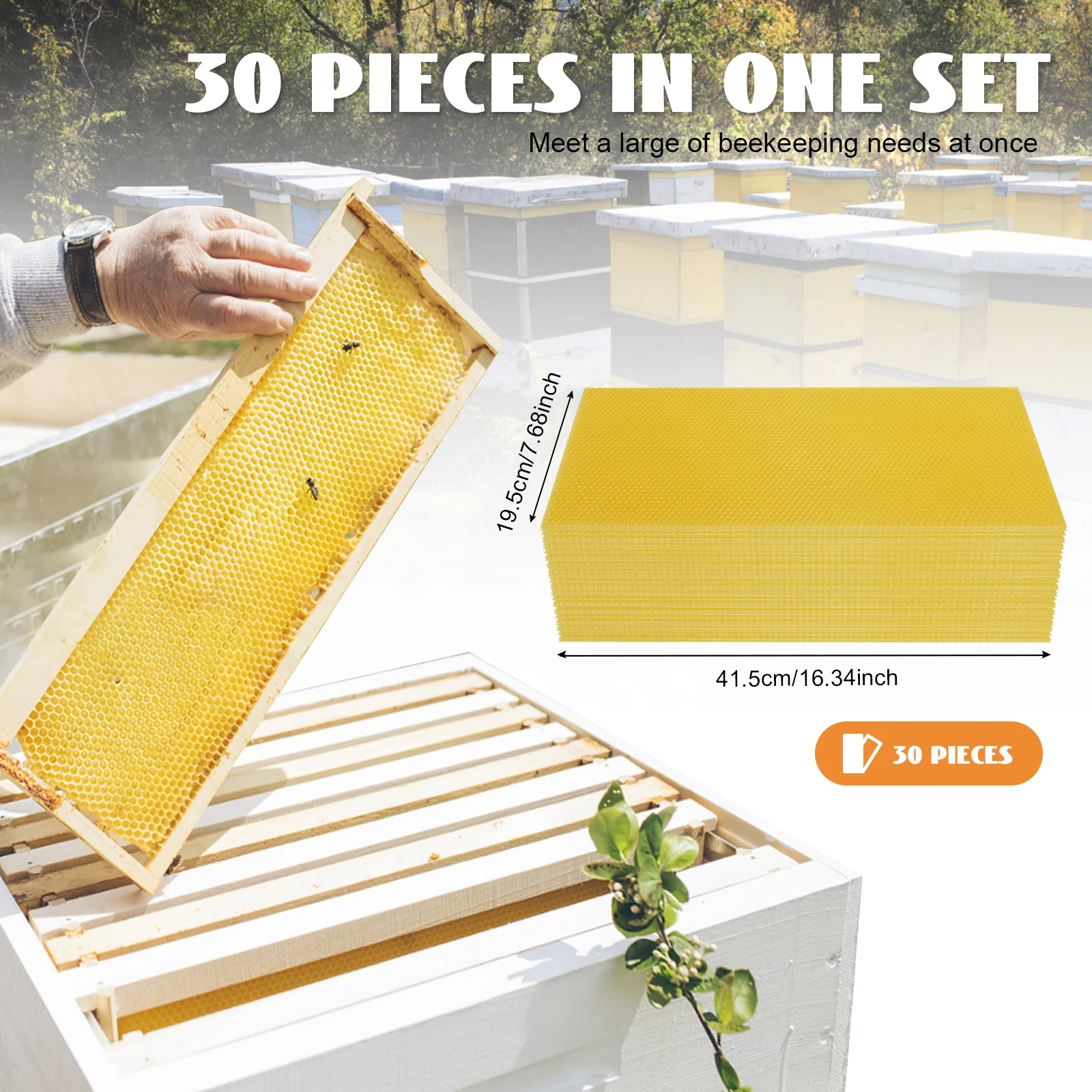 

30 Pcs Bee Hive Foundations Beehive Frames Natural Pure Beeswax for Faster Comb Building & Higher Honey Yield 7.68x16.34 Inch