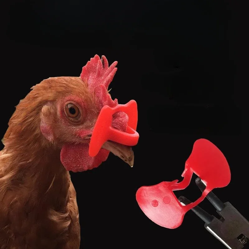 

100PCS Anti Pecking Chicken Goggles To Prevent Fights, Reinforced Plastic Non Piercing Non Bolt Chicken Eye Mask