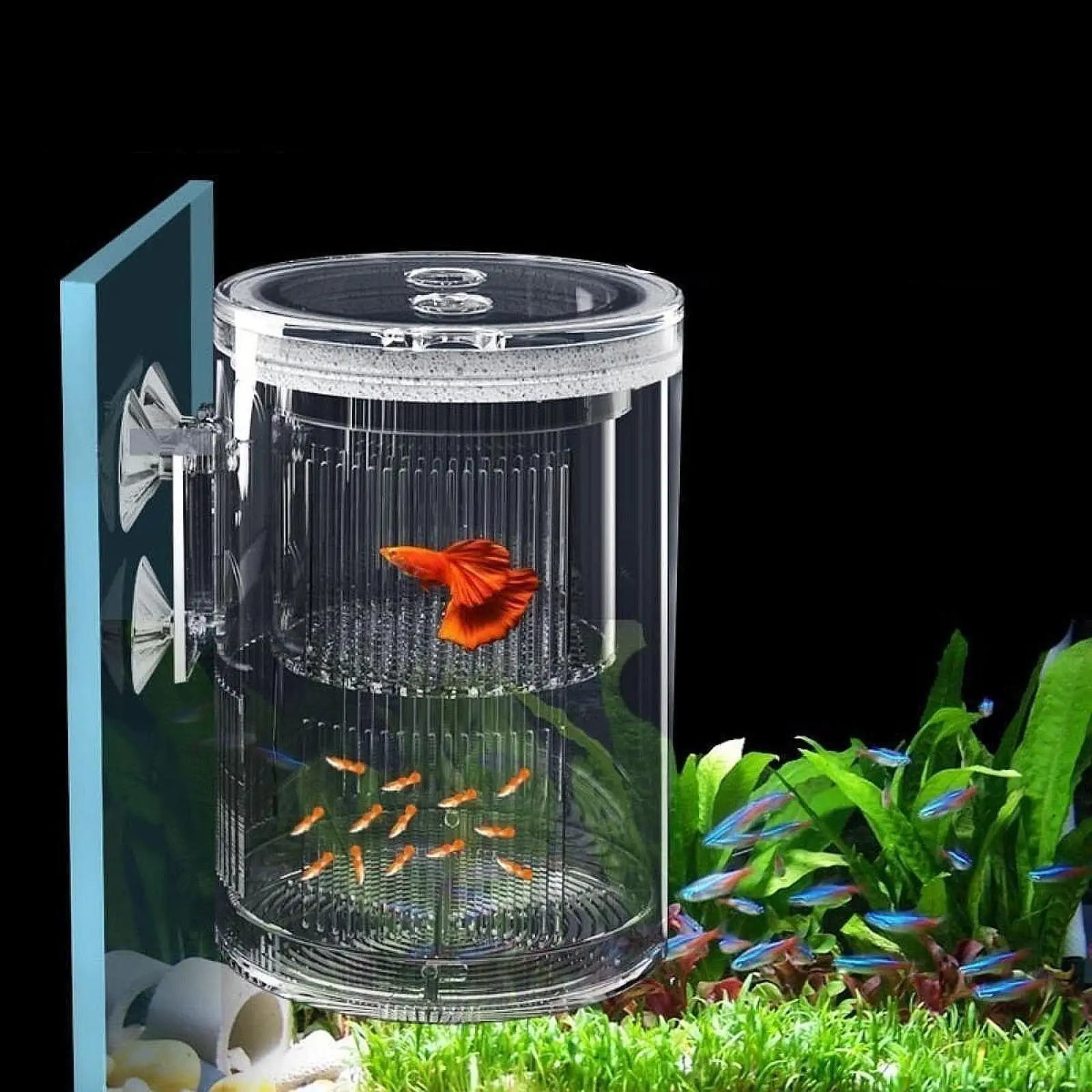 Fish Breeding Box Fish Nursery Acrylic Hatchery for Baby Fish Shrimp Guppy