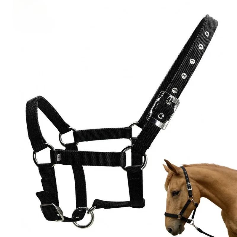

25mm Wide PP Webbing Horse Halter Durable Weave Panel Pony Headcollar Adjustable Cattle Halter Comfortable Horse Lead Rope
