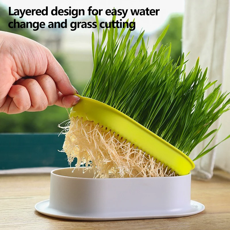 Cat snack tray soilless hydroponic cat grass box suitable for garden microgreen plant seedling planting home office