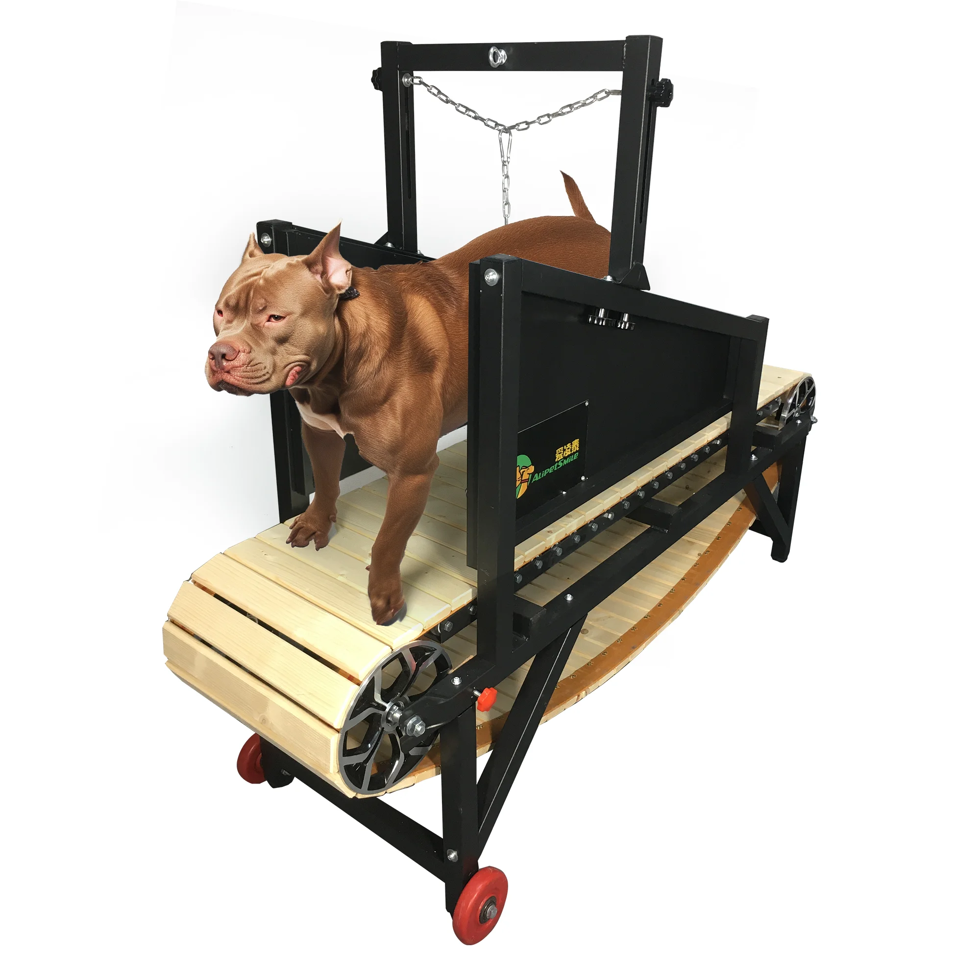 Dog Flat Treadmill for Training and Fitness - Perfect for All Breeds by AlipetSmile