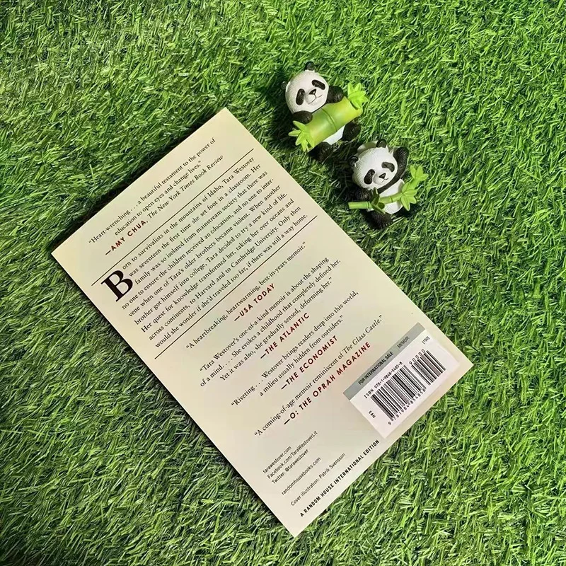 당신은 산으로 날아가는 새처럼 날아야 합니다 교육은 삶을 바꾼다 자전적 소설 영어 책