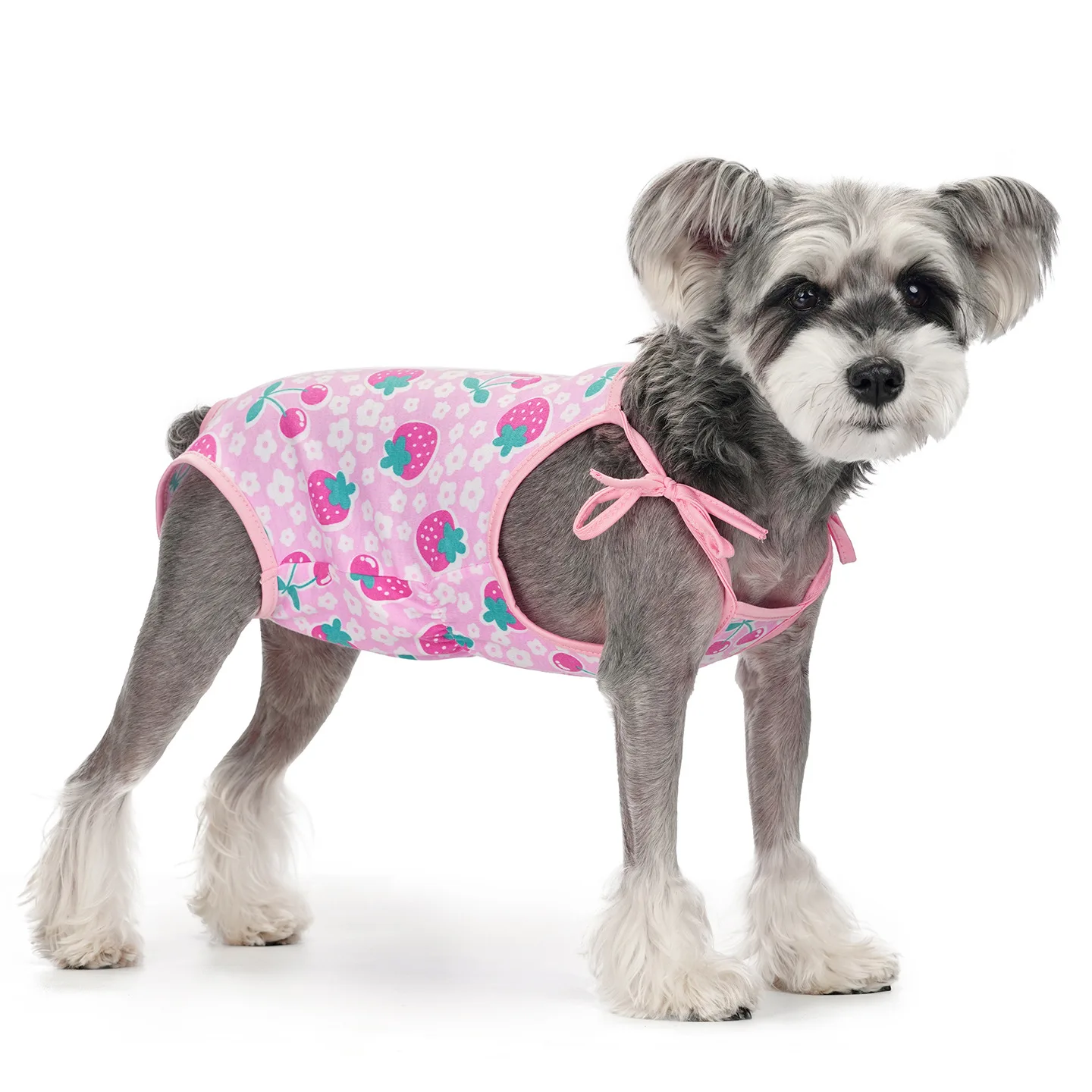 New Pet Dog Clothes Anti-Lick Diaper Panties Suspenders Spay Recovery Suit for Female Dogs Small Medium Breeds Poodle Bichon