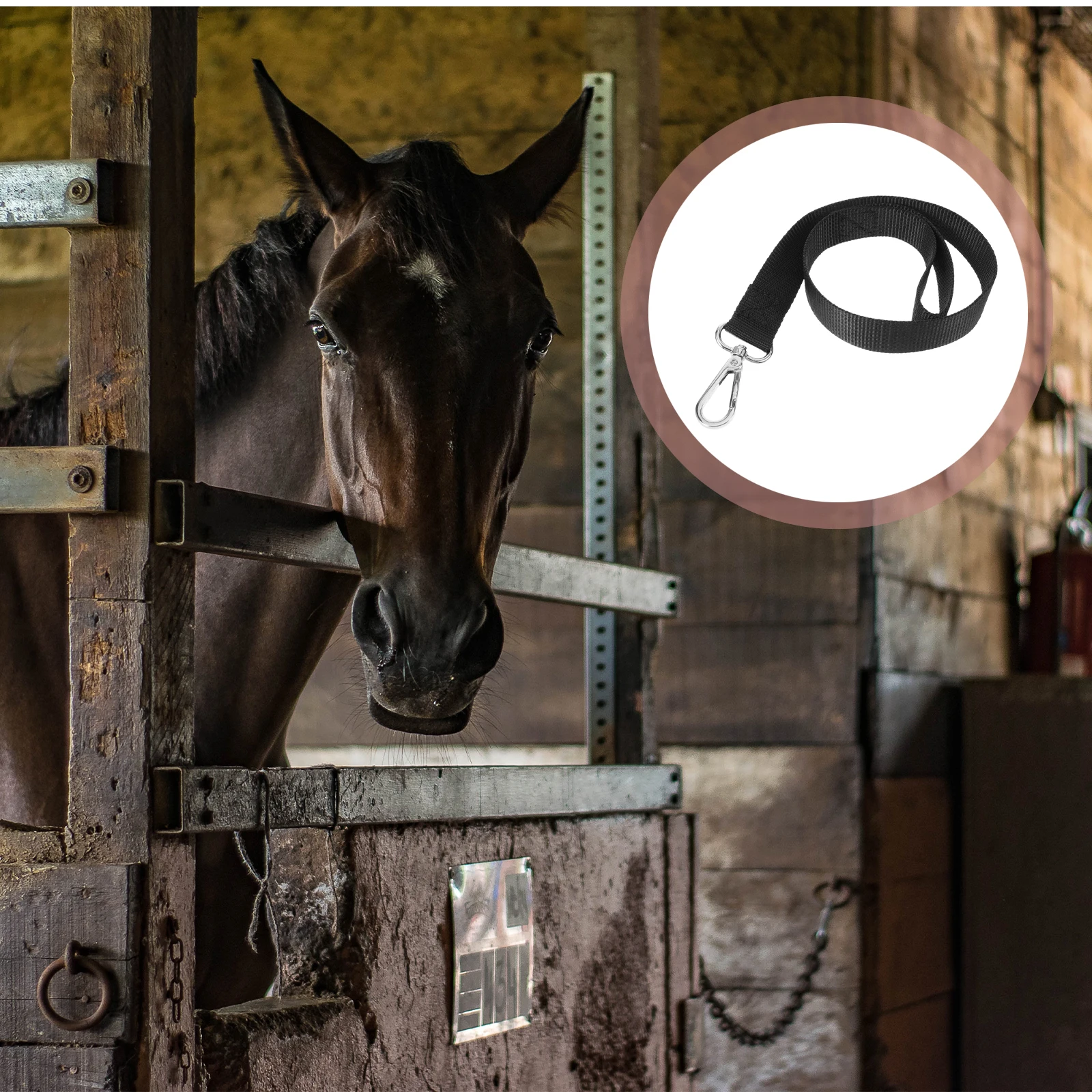 

Horse Bucket Hanger Water Tank Nylon Feeder Strap Adjustable Reusable Portable Black Regular Size Stable Pasture Horse Supplies