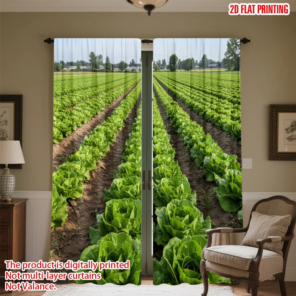 

2D flat printing 2pcs Drapes Rows of Green Lettuce Digital Printed Polyester Drapes Family Party for Drapes for Bedroom Window