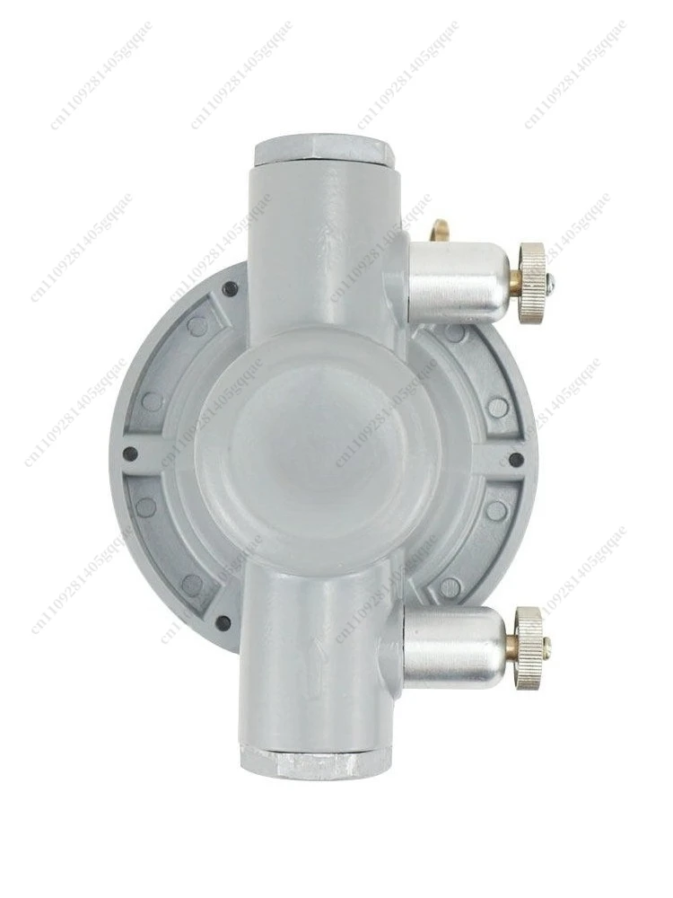 

Single Acting Pneumatic Diaphragm Pump QDM-CJ601S Air Operated Transfer Pump for Ink Industrial Use