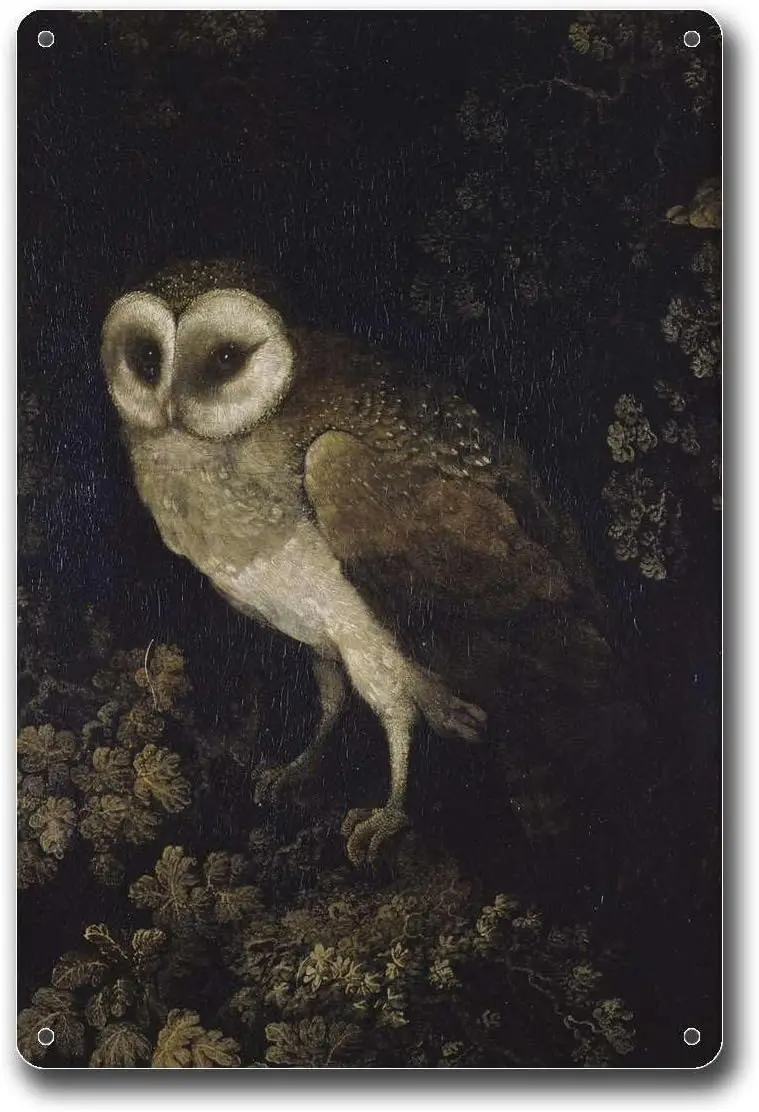 Metall-Blechschilder Antike Eule Dark Academia Country-Vogel Retro Tiere Dunkle Kunst Geeignet für Restaurant-Wanddekoration Blechschild