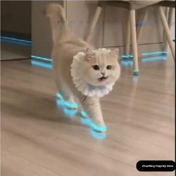 Luminous  Dog Shoes Toy Night Glow Children's Toy Night Photography Video Accessories Pet Shoes Baby Shoes Toy Glow in the...
