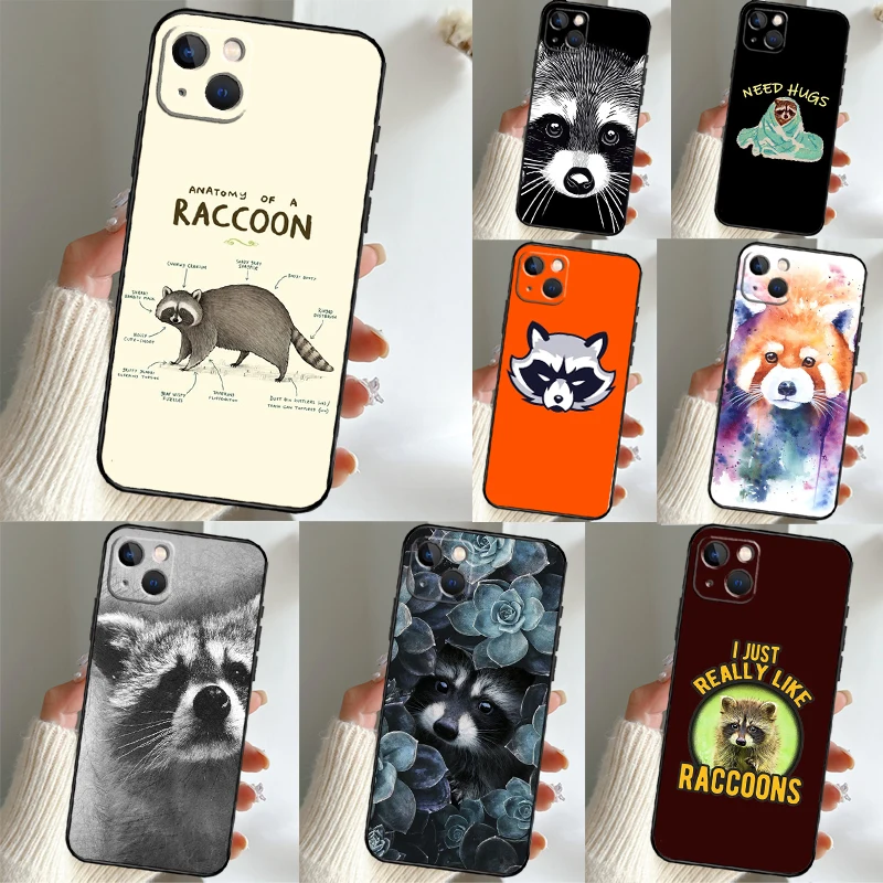 Animal Raccoon Fox … - image