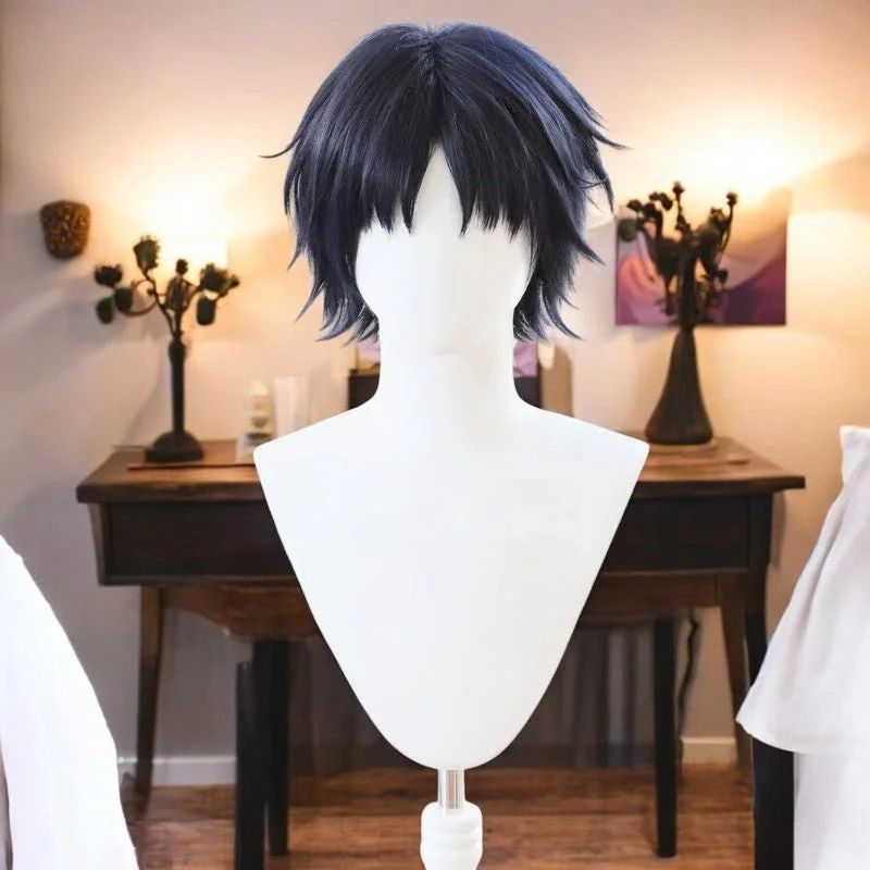 Hirotaka Nifuji, Anime Cosplay Wig, Character Fake Hair