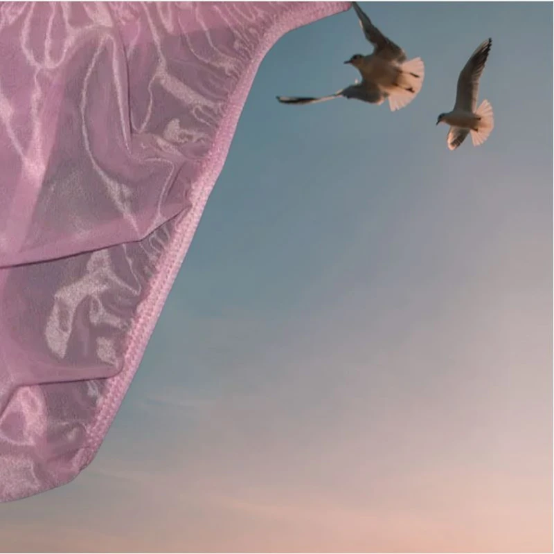 Bragas de malla de red elástica transparente para hombre, calzoncillos de cintura baja, DJ, Club, Bar, fiesta privada FKK, espectáculo en vivo, baile, color rosa