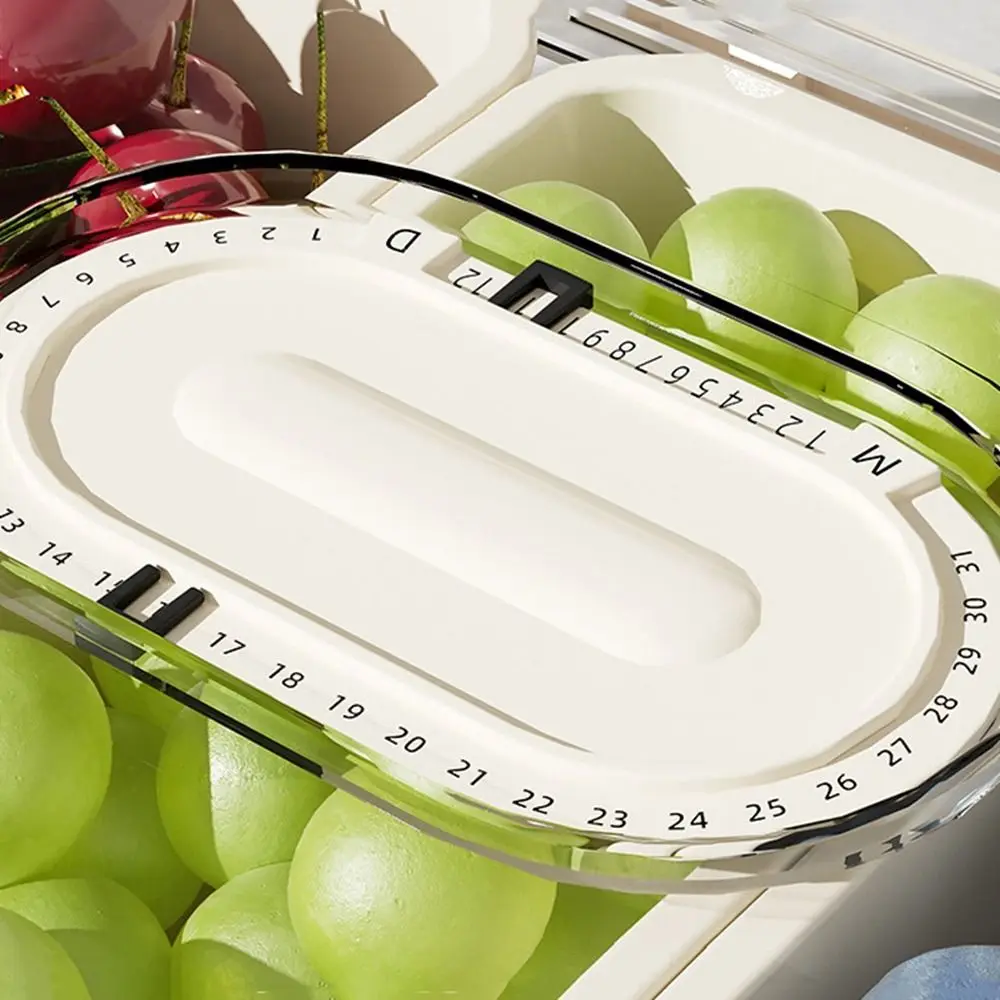 

5 Grids Ice Chilled Tray Platter Keeping Fresh Transparent Condiment Container with Lid Reusable Fruit Plate Server Kitchen