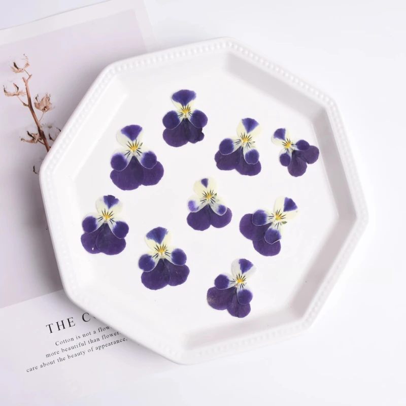 24 Stück, Natur Corydalis getrocknete Blütenblätter Make-up DIY Epoxy Handytasche Grußkarte Lesezeichen Pflanze Fotorahmen Kuchen Dekoration – Detail 2